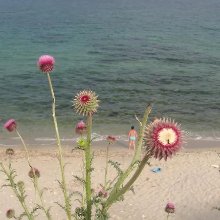 호텔 Lazur 라브다