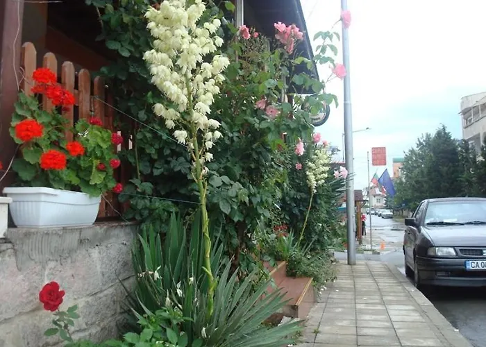 Lazur ホテル ラヴダ