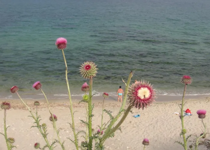 ホテル Lazur ラヴダ